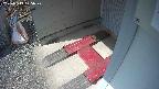 yotec3-20250313125028.jpg