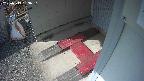 yotec3-20250313133031.jpg