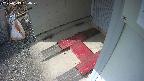 yotec3-20250313134027.jpg