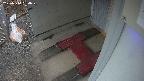 yotec3-20250314054028.jpg
