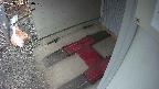 yotec3-20250314060028.jpg