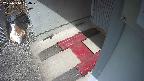 yotec3-20250314104028.jpg