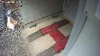 yotec3-20250314105028.jpg