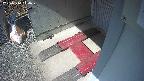 yotec3-20250314114027.jpg