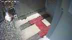 yotec3-20250314115028.jpg