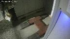 yotec3-20250314201027.jpg