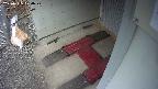 yotec3-20250315070029.jpg
