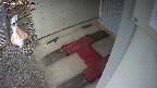 yotec3-20250315080030.jpg