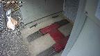 yotec3-20250315090028.jpg