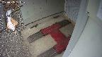 yotec3-20250315105029.jpg