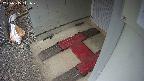 yotec3-20250315111027.jpg