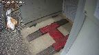yotec3-20250315120027.jpg