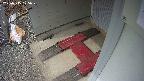 yotec3-20250315125027.jpg