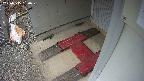 yotec3-20250315130028.jpg