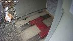 yotec3-20250315145030.jpg