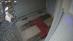 yotec3-20250315180027.jpg