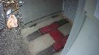 yotec3-20250316094030.jpg