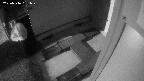 yotec3-20250316191027.jpg