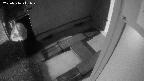 yotec3-20250316211029.jpg
