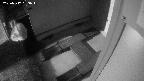yotec3-20250317033046.jpg