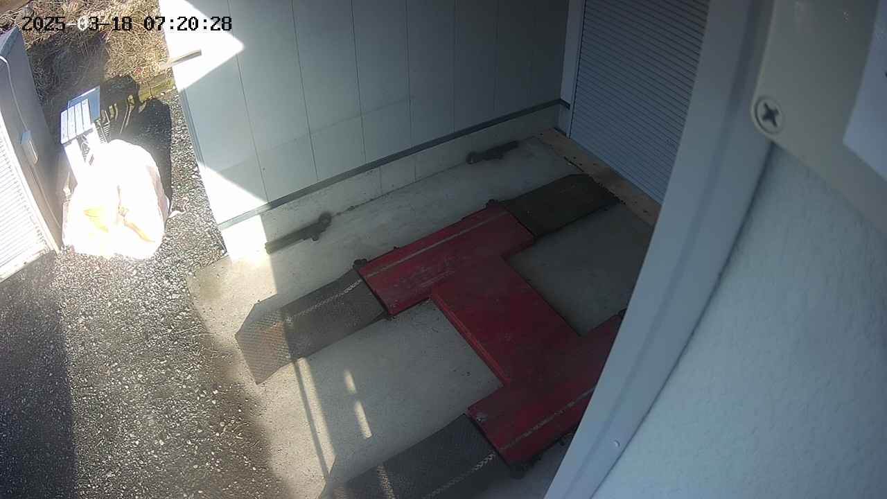 yotec3-20250318072030.jpg
