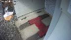 yotec3-20250318092030.jpg