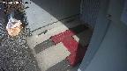 yotec3-20250318100030.jpg