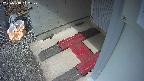 yotec3-20250318112029.jpg