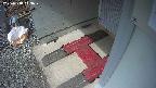 yotec3-20250318113030.jpg