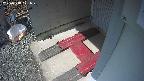 yotec3-20250318121028.jpg