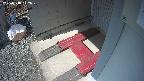yotec3-20250318122030.jpg