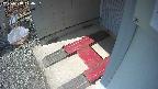 yotec3-20250318124031.jpg