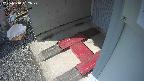yotec3-20250318132028.jpg