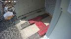 yotec3-20250318140030.jpg