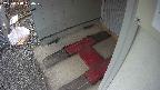 yotec3-20250318160030.jpg