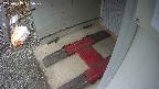 yotec3-20250319105029.jpg