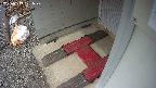 yotec3-20250319121030.jpg