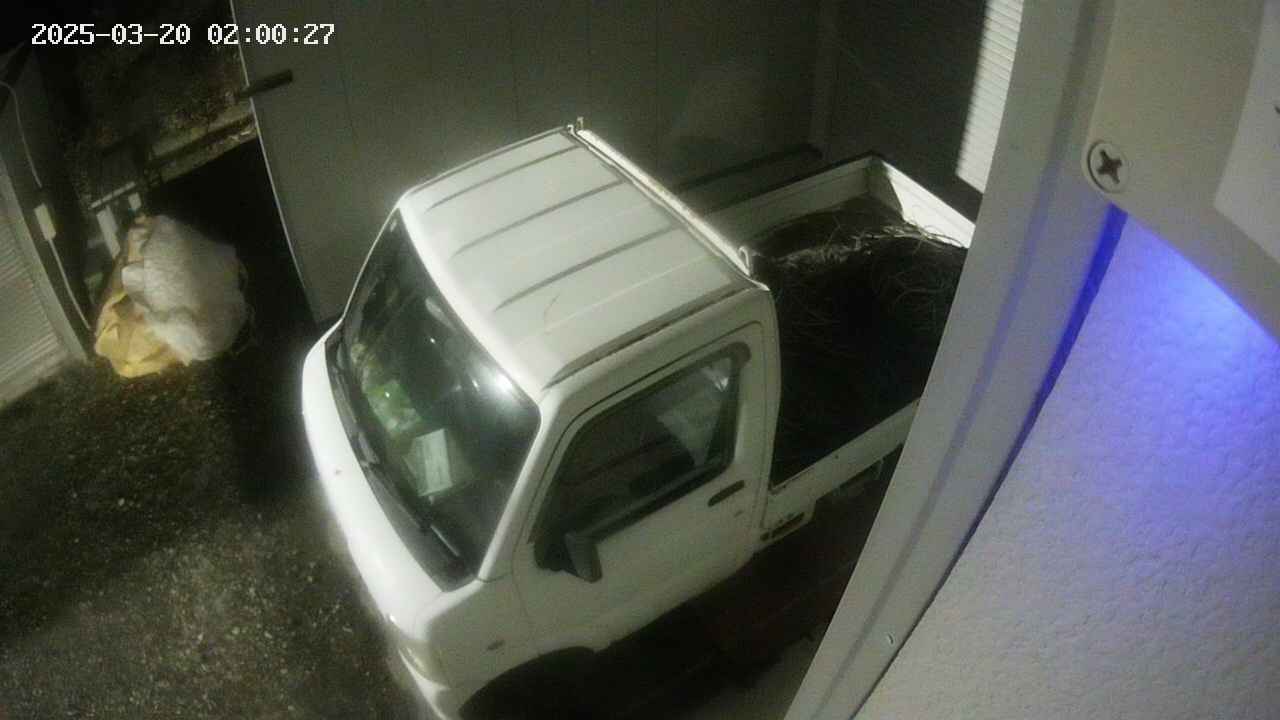 yotec3-20250320020028.jpg