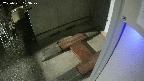 yotec3-20250331003029.jpg