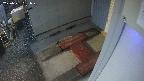 yotec3-20250331051030.jpg