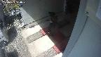 yotec3-20250422110030.jpg