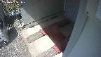 yotec3-20250422111030.jpg