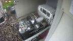 yotec3-20250518050029.jpg