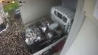 yotec3-20250518054028.jpg