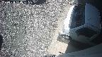 yotec3-20250528110029.jpg