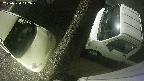 yotec3-20250530012027.jpg