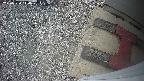 yotec3-20250530140029.jpg