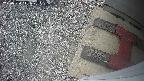 yotec3-20250530141027.jpg