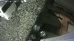 yotec3-20250530195029.jpg