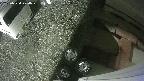 yotec3-20250530200027.jpg